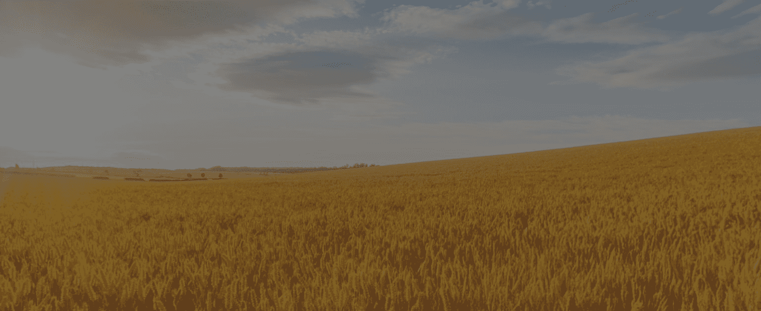 About agPAY hero image