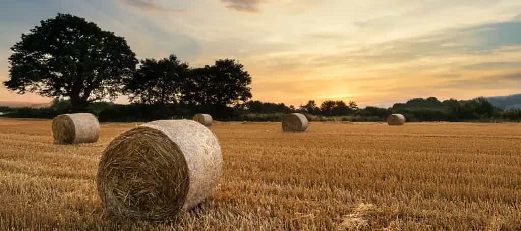 Farm mortgages